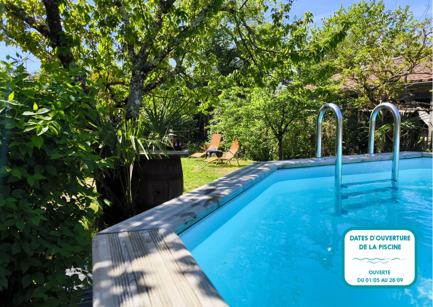 An outdoor swimming pool bordered by greenery and a wooden deck.