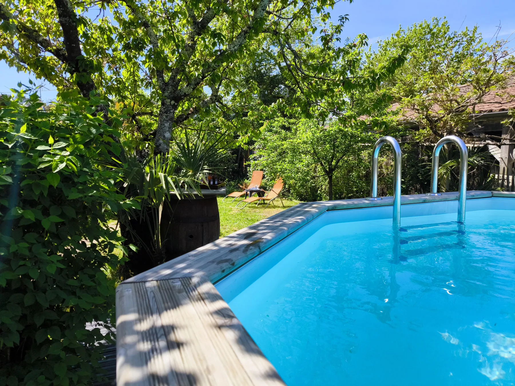 An outdoor swimming pool sits beside leafy trees and garden seating.