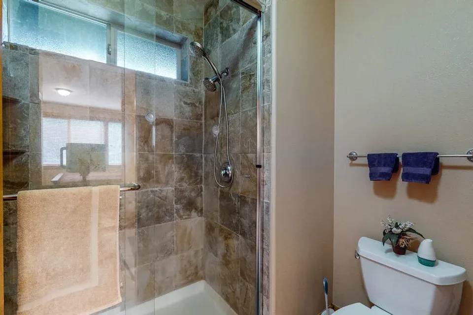 A bathroom with a tiled shower and a toilet beside it.