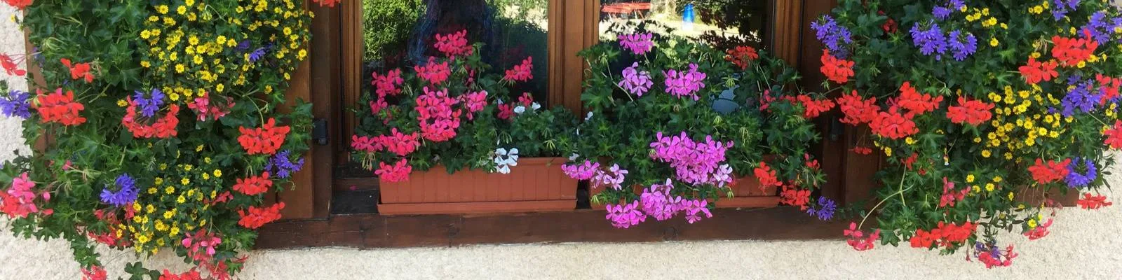 Representative hotel space: A window box overflowing with colorful flowers sits beneath wooden-framed windows.