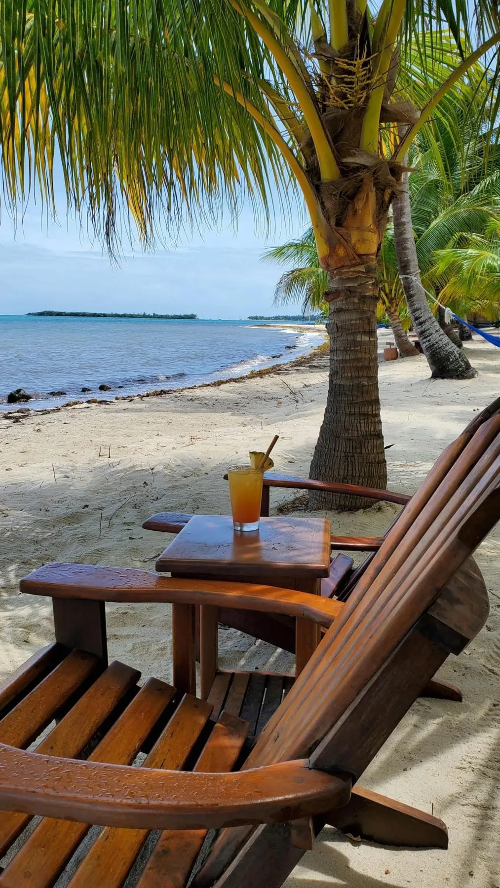 Wooden seating and a drink sit beneath palm trees on a sandy beach.