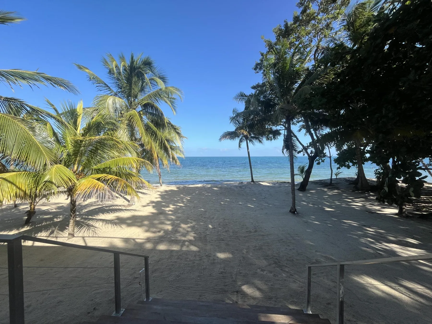 A sandy beach lined with palm trees faces the ocean.