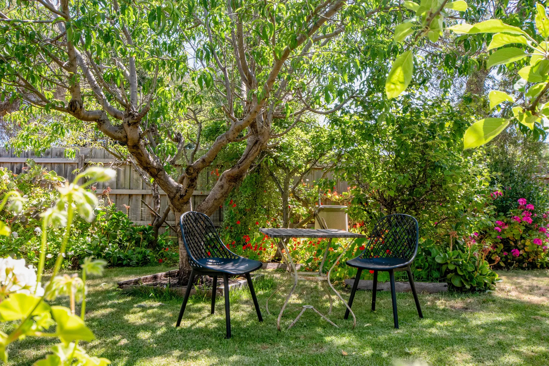 Una zona de descanso en el jardín con sillas y una mesa bajo árboles frondosos.
