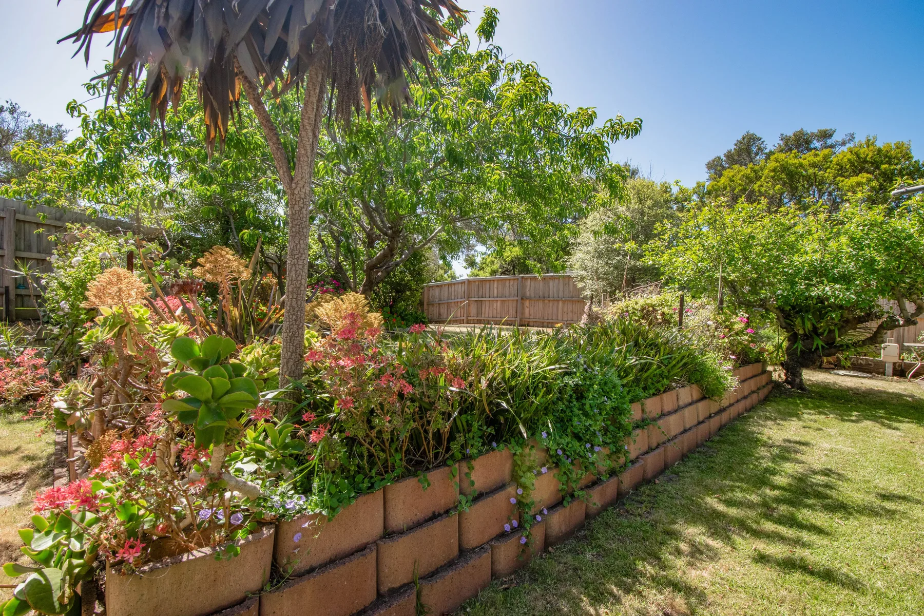 Un jardín con parterres elevados, plantas frondosas y césped.