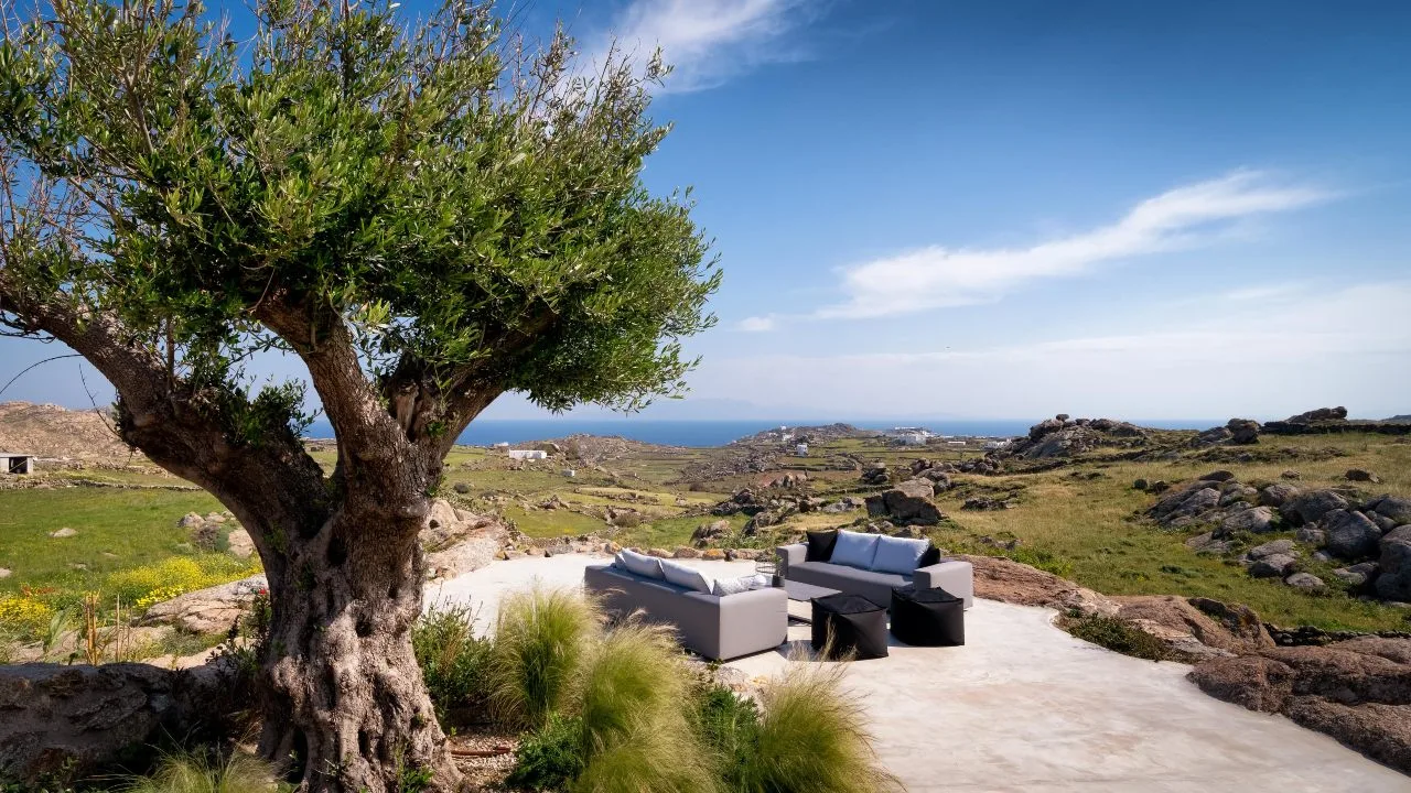 An outdoor patio with seating beneath a tree overlooks a rocky landscape.