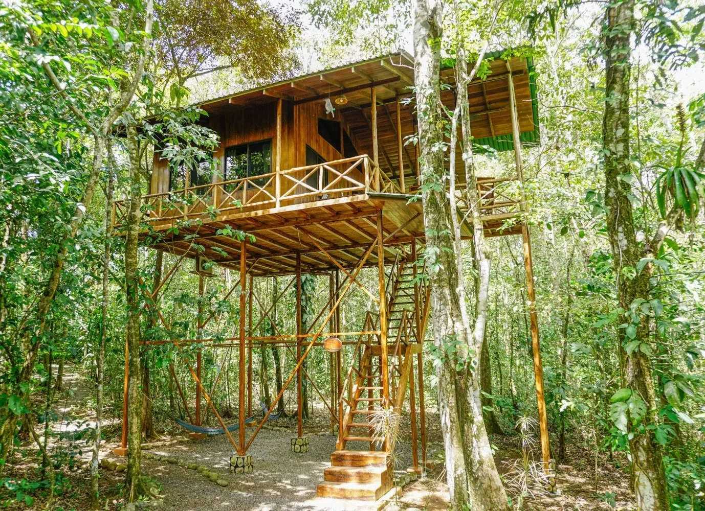 Representative hotel space: A raised wooden cabin stands among trees in a forest.