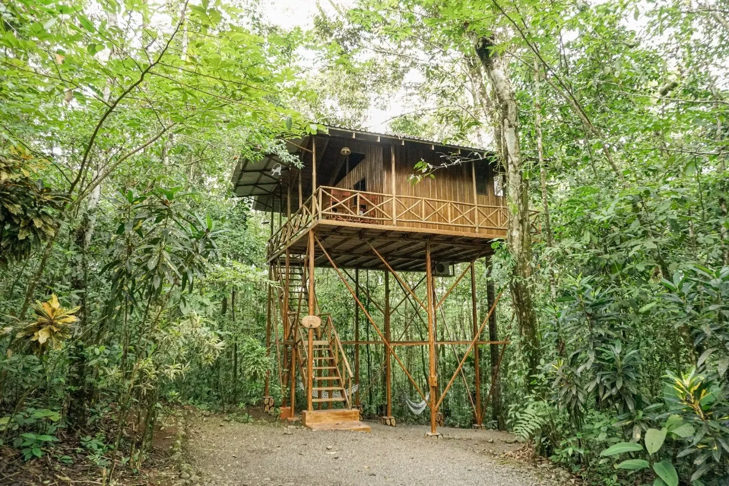 Representative hotel space: A raised wooden cabin stands among dense green trees and vegetation.
