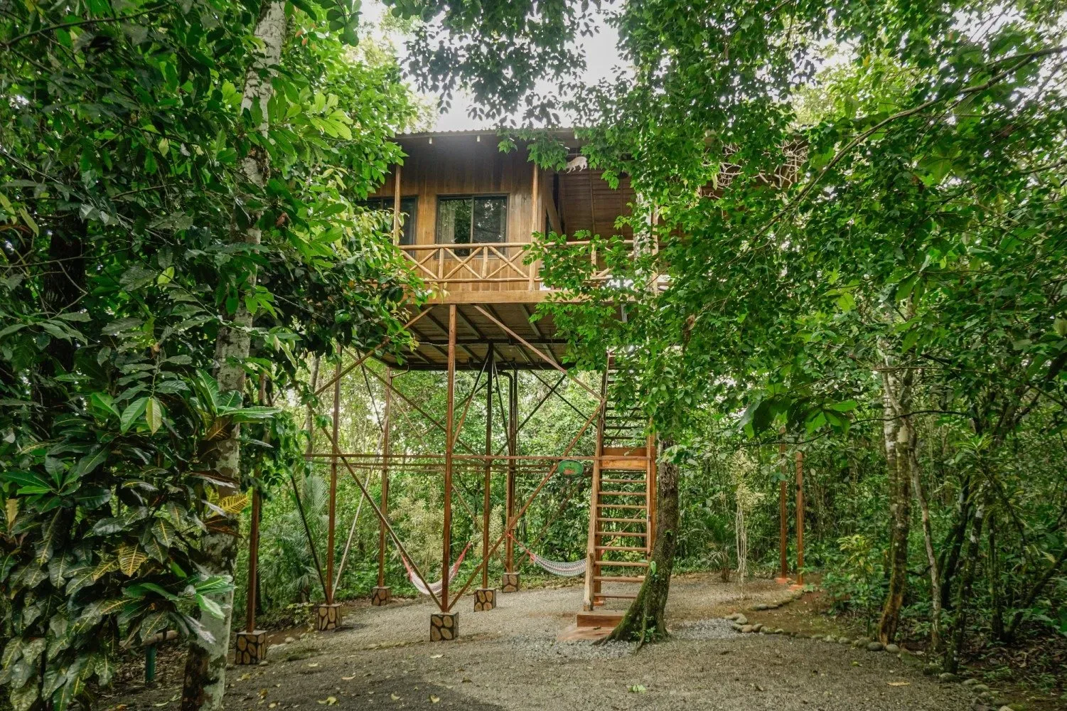 Representative hotel space: A raised wooden cabin stands among dense trees, with a staircase leading to its balcony.