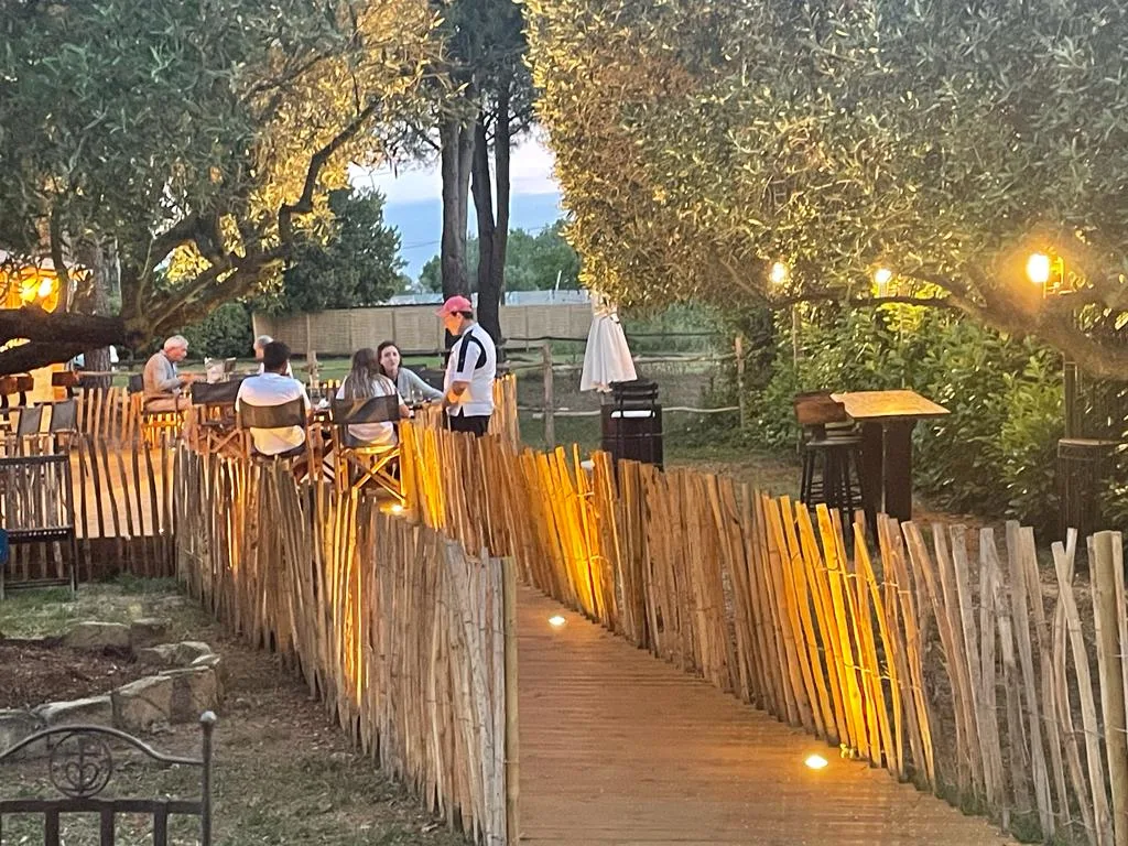 Representative hotel space: An outdoor dining area with tables and a wooden walkway among trees.