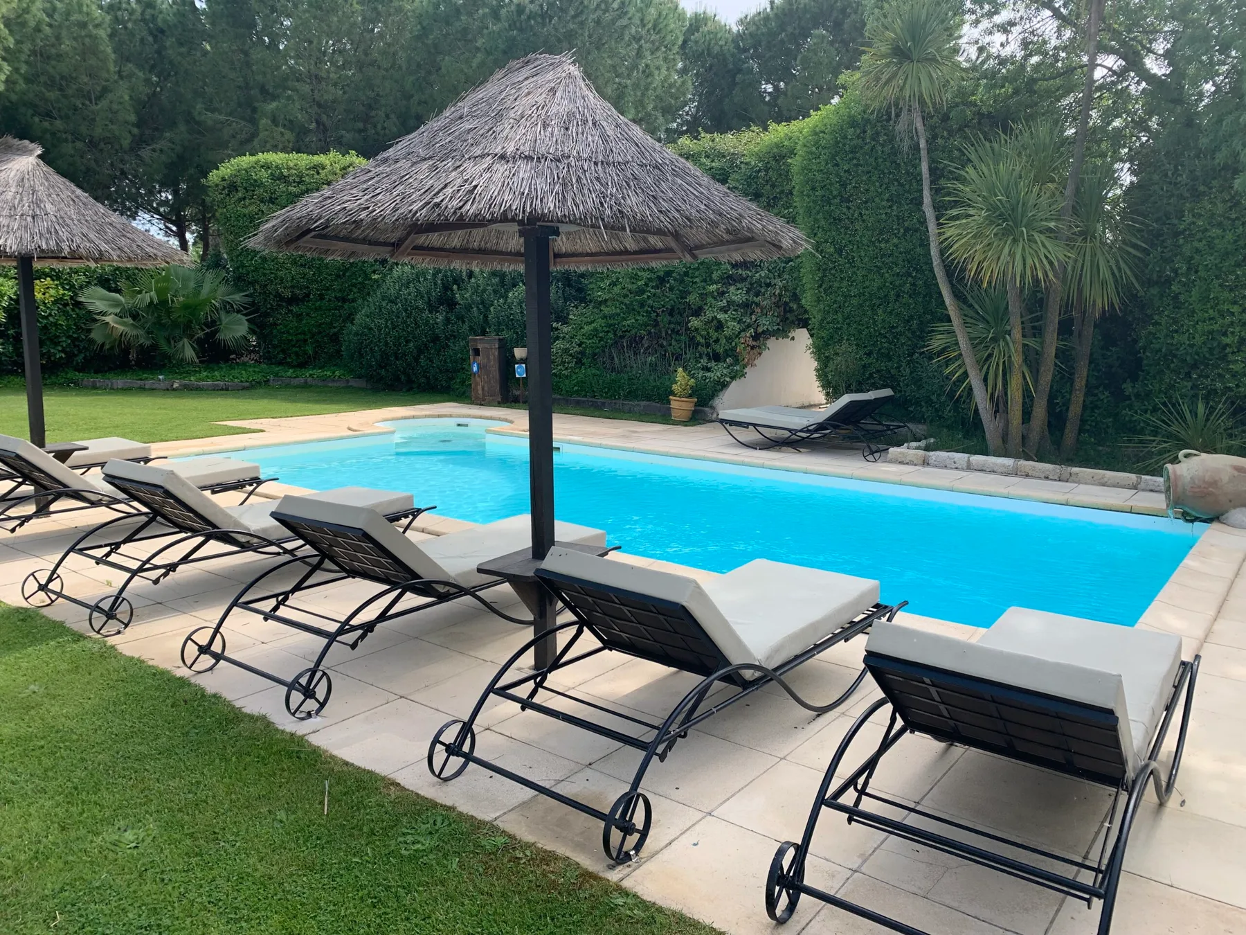 Representative hotel space: An outdoor swimming pool is surrounded by loungers and greenery.