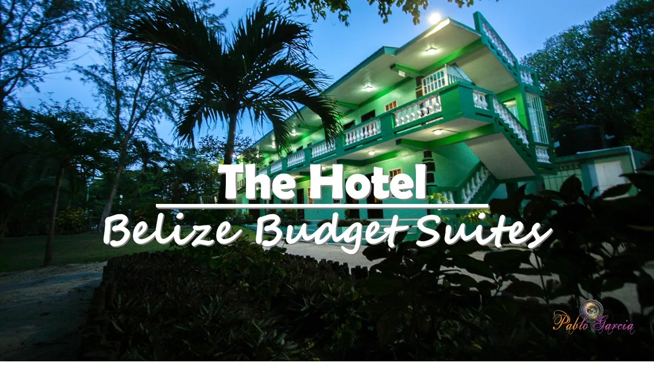 Representative hotel space: A green-lit multi-story building stands among trees at dusk.