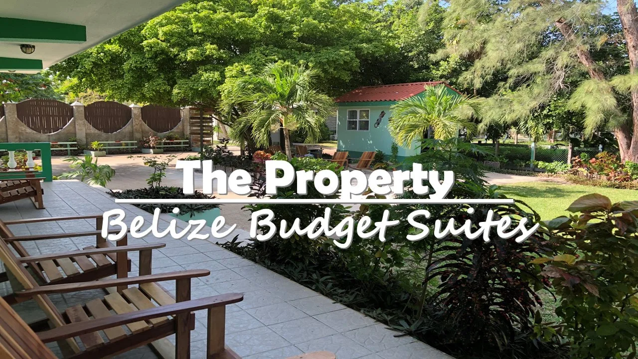 Representative hotel space: An outdoor patio with wooden seating overlooks a tropical garden.