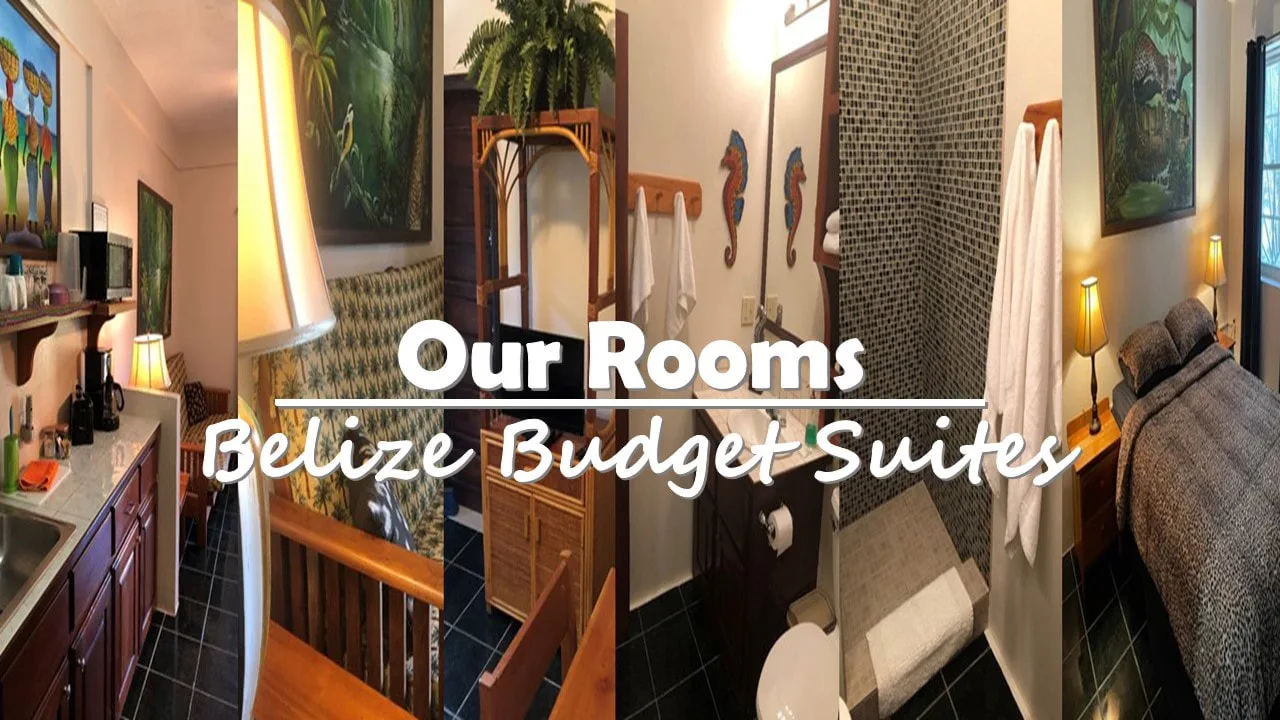 Representative hotel space: A bedroom with a bed and a television beside a bathroom with a shower.