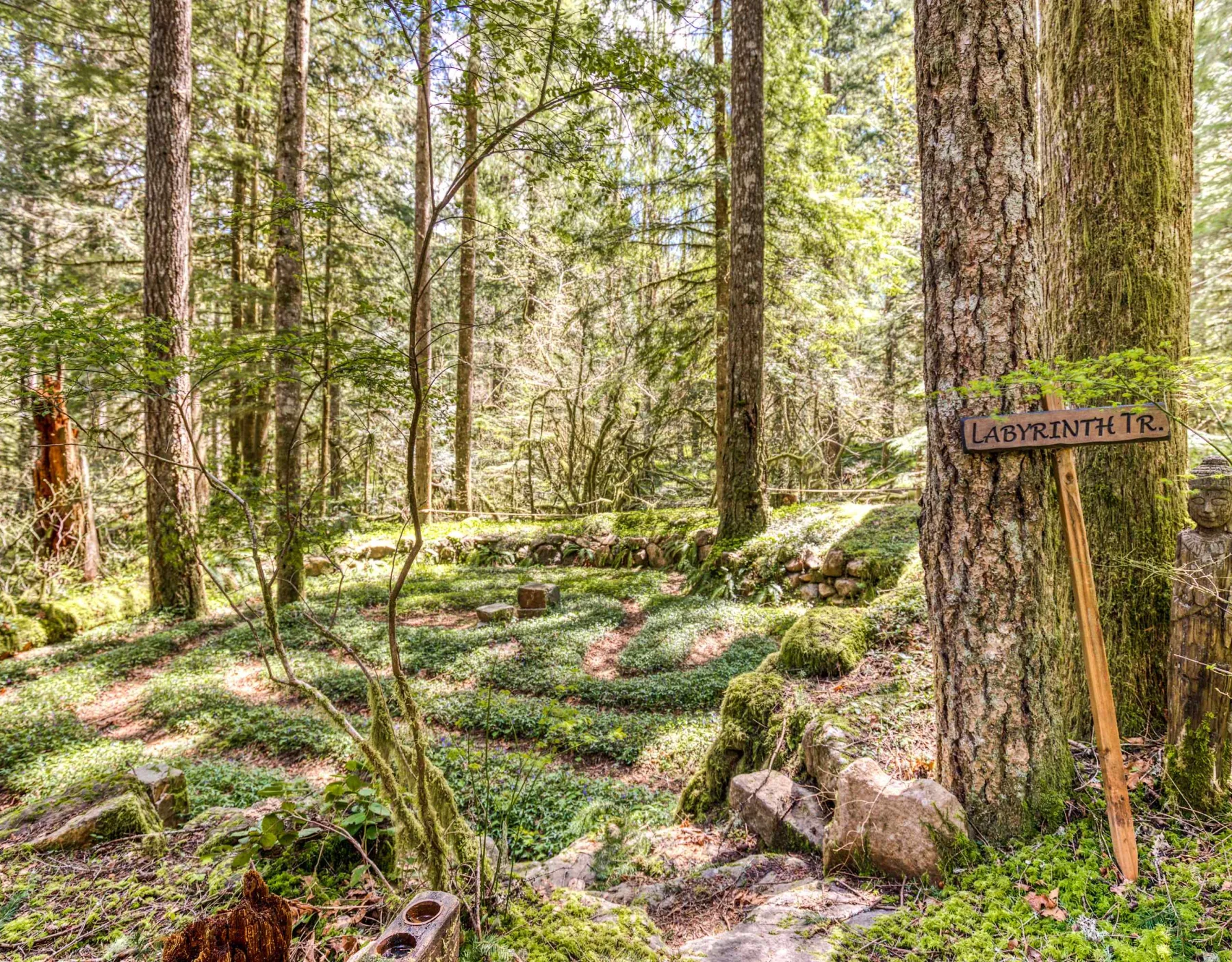 Un sendero de jardín forestal serpentea entre árboles altos y rocas cubiertas de musgo.