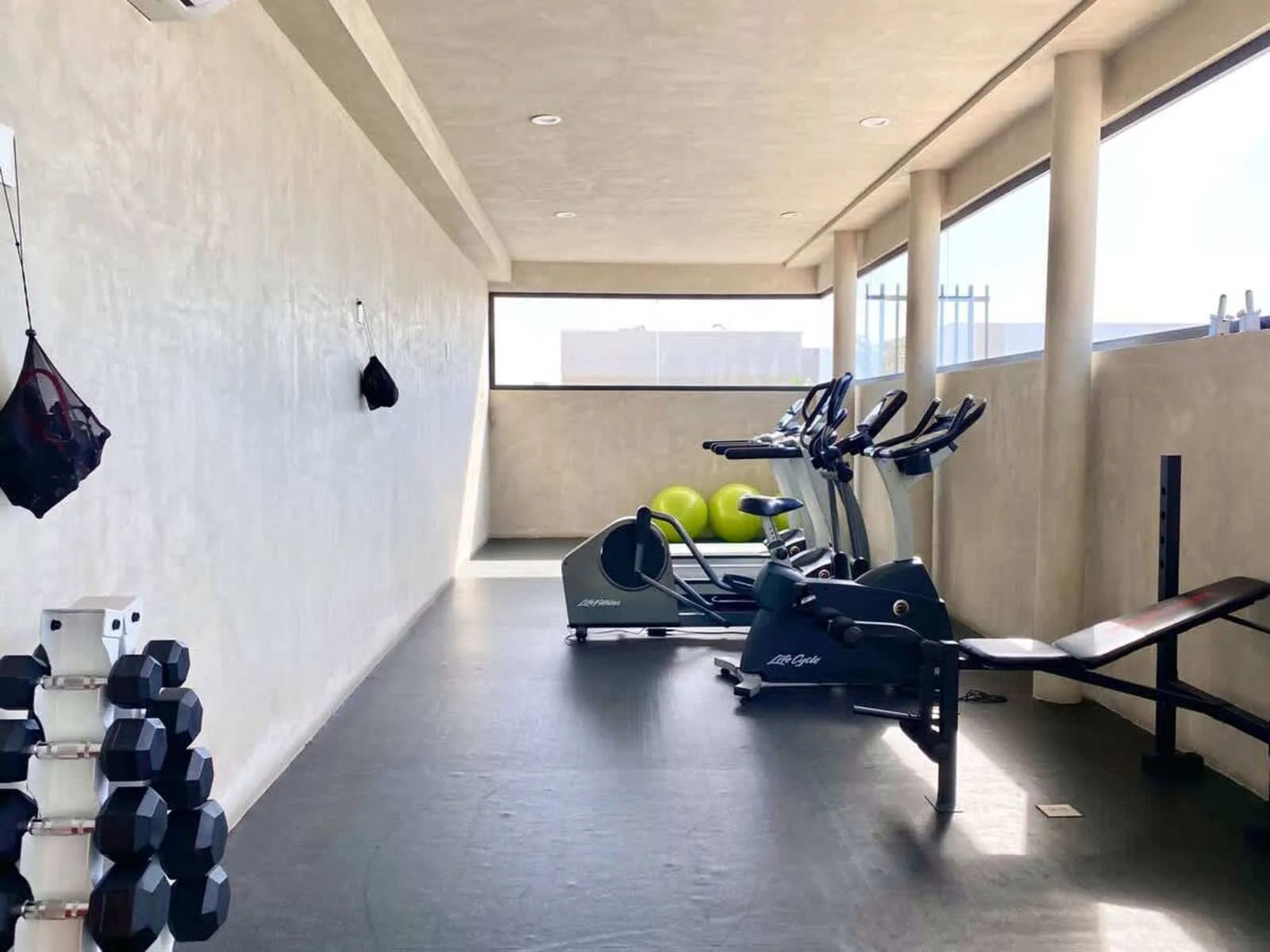 Zona común: Un gimnasio con máquinas de ejercicio, pesas y un banco de entrenamiento.