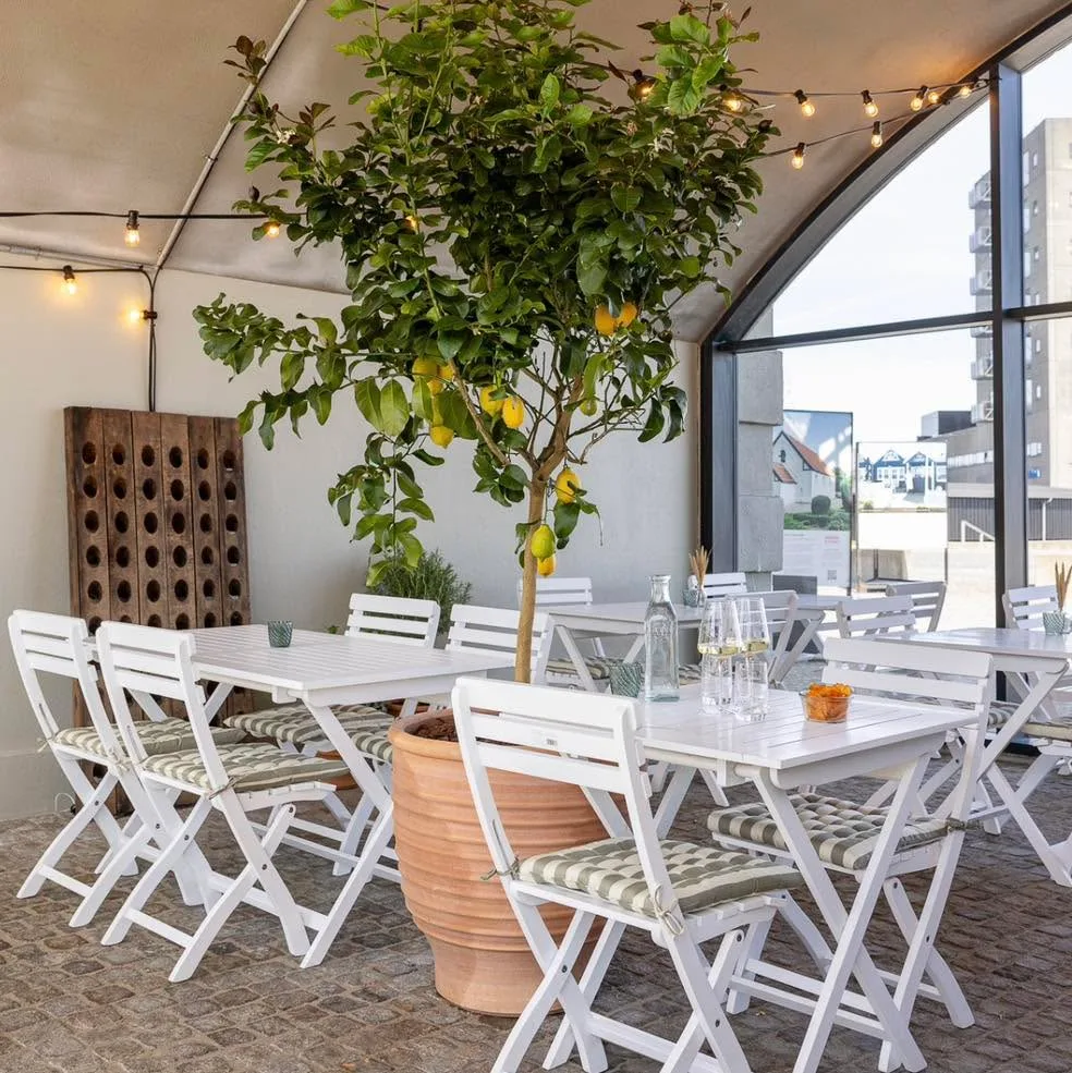 Espacio representativo del hotel: Comedor cubierto con mesas y asientos blancos alrededor de un cítrico en maceta.