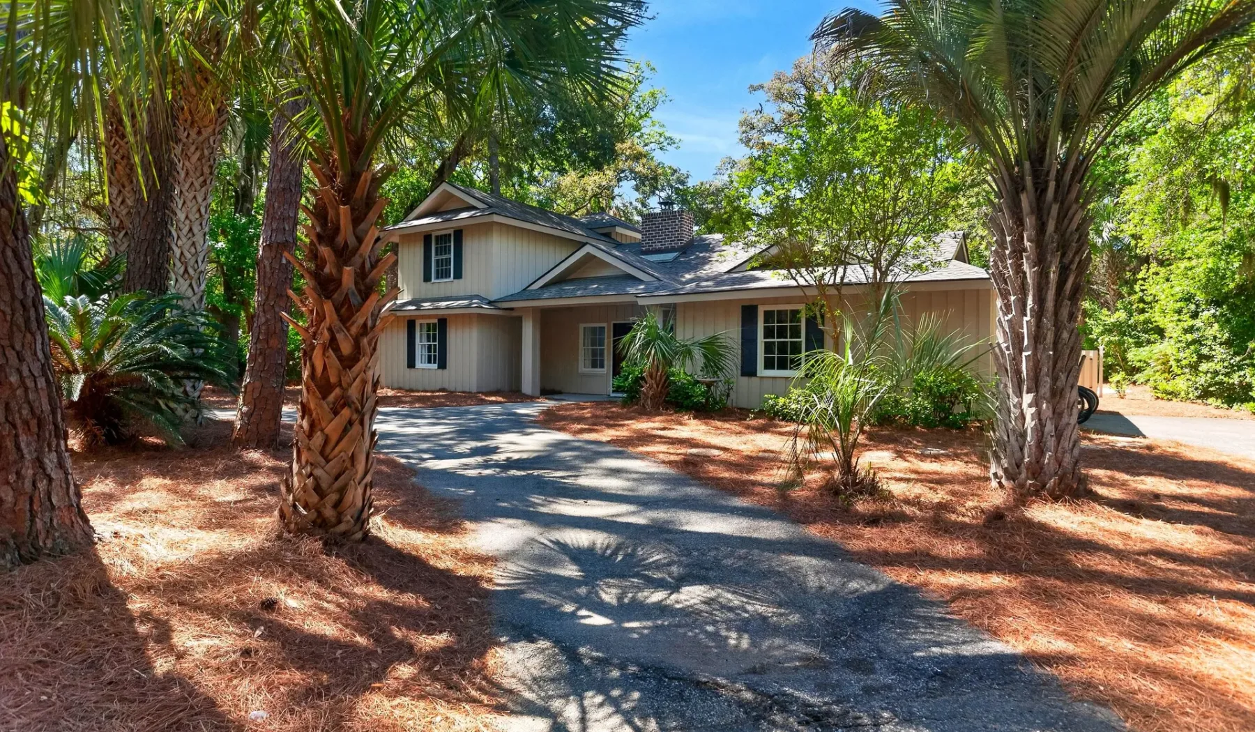 A house sits among tall palm trees beside a paved driveway.