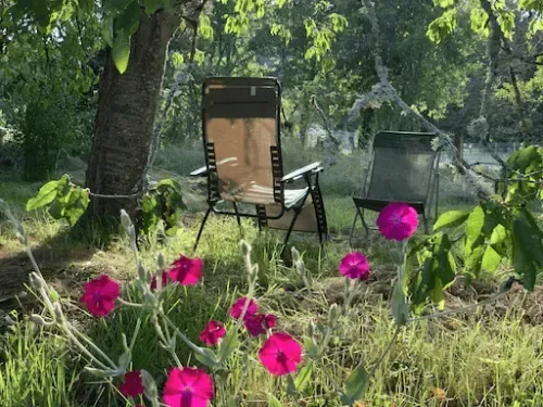 Espacio representativo del hotel: Una zona de descanso en el jardín con sillas plegables entre flores y árboles.