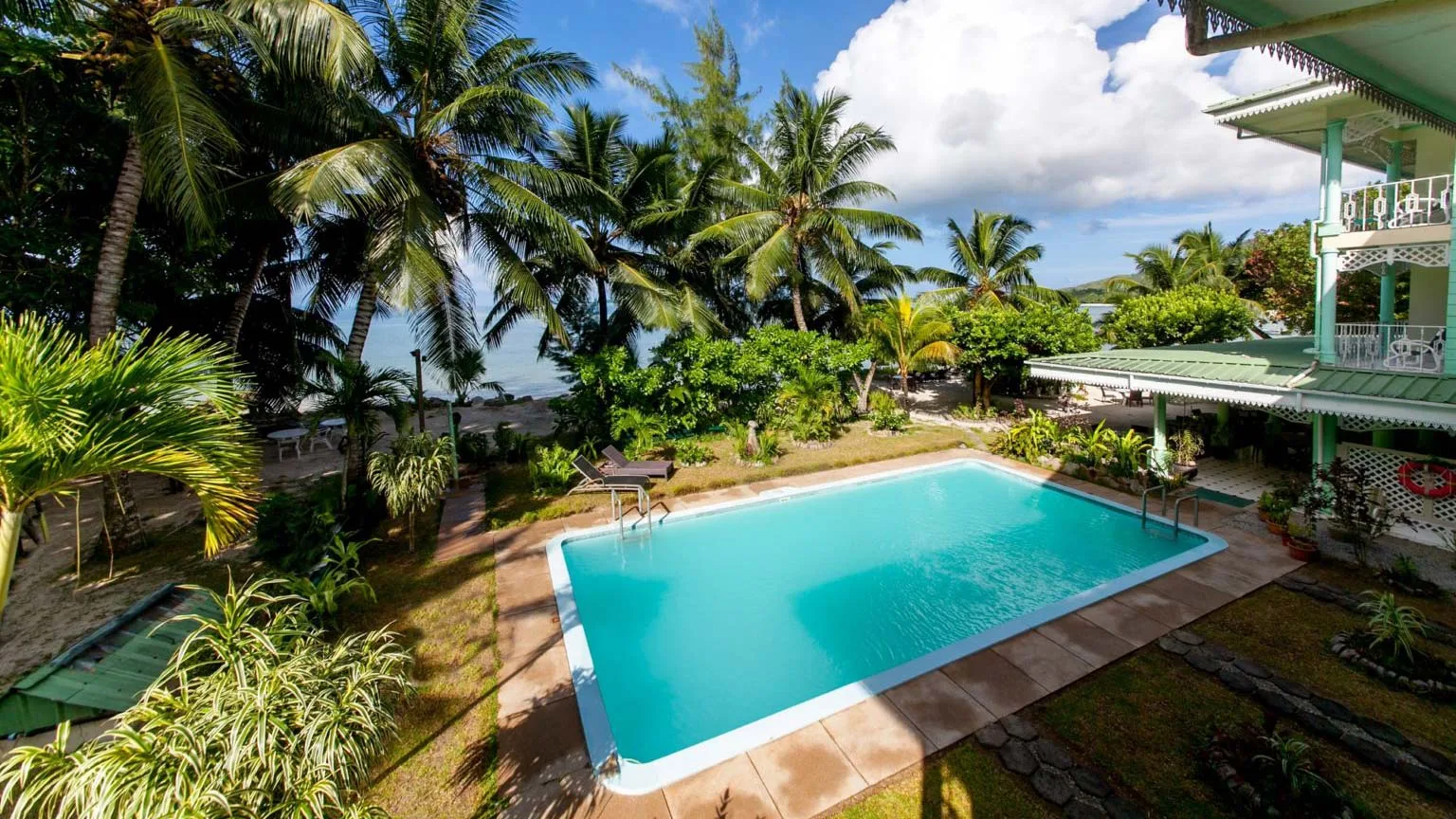 Espacio representativo del hotel: Una piscina rodeada de palmeras y vegetación.