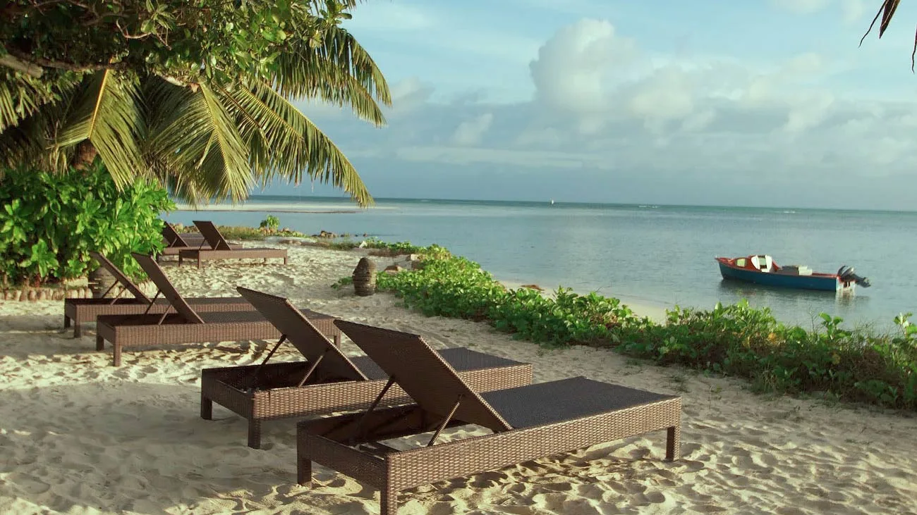 Espacio representativo del hotel: Una playa de arena con asientos reclinables bajo palmeras junto al agua tranquila.