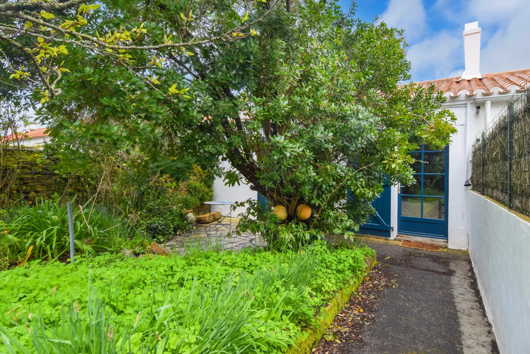 A garden path leads to a blue door beside leafy trees and dense greenery.
