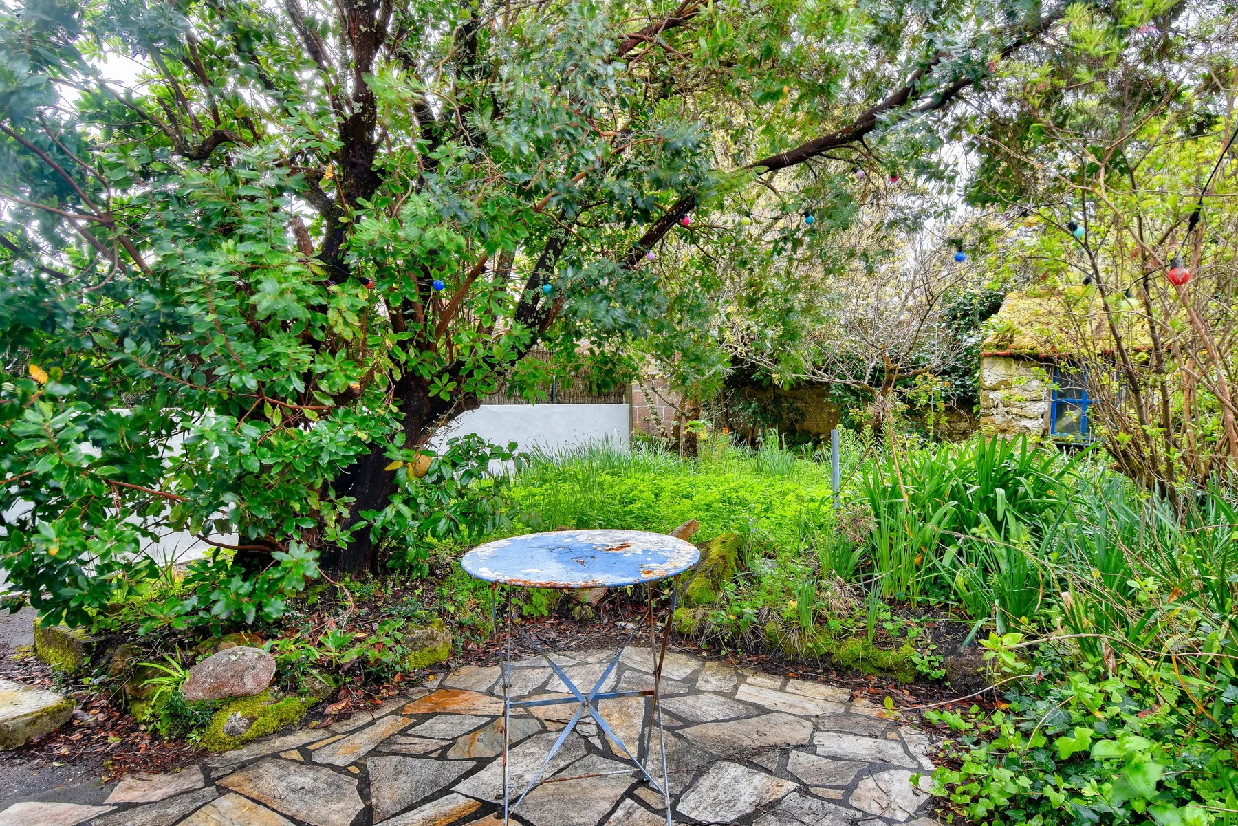 A leafy garden patio with a round table and surrounding greenery.