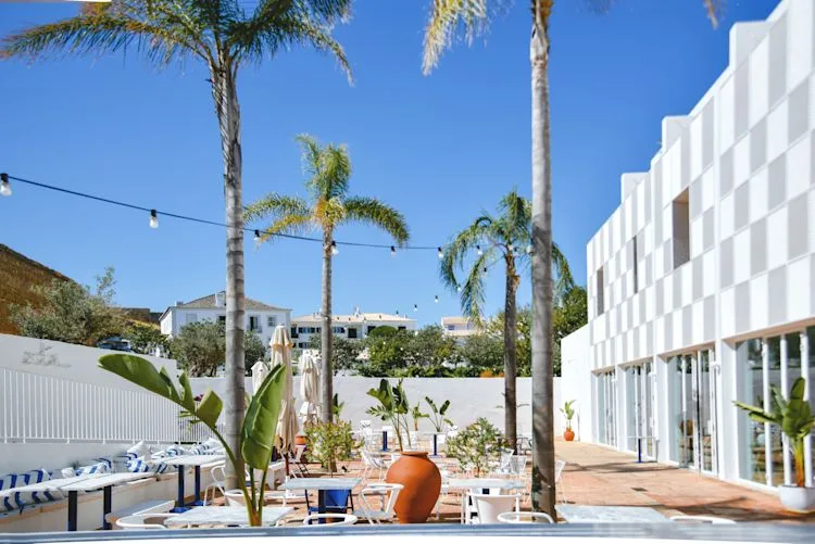 Espacio representativo del hotel: Un patio exterior con mesas, asientos, palmeras y un edificio blanco.