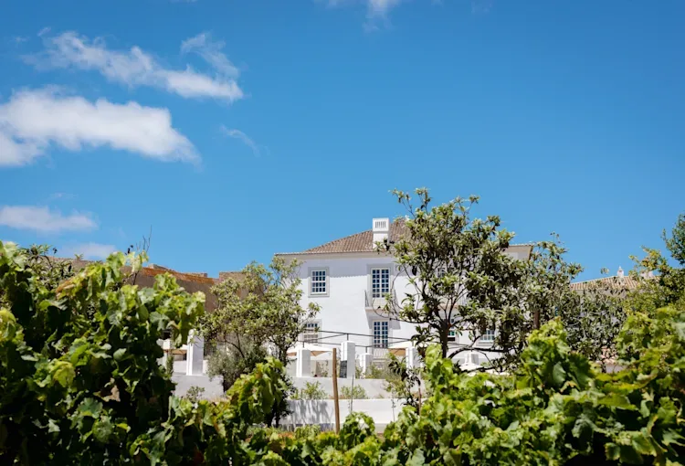 Espacio representativo del hotel: Un edificio blanco se alza entre vegetación frondosa bajo un cielo azul.