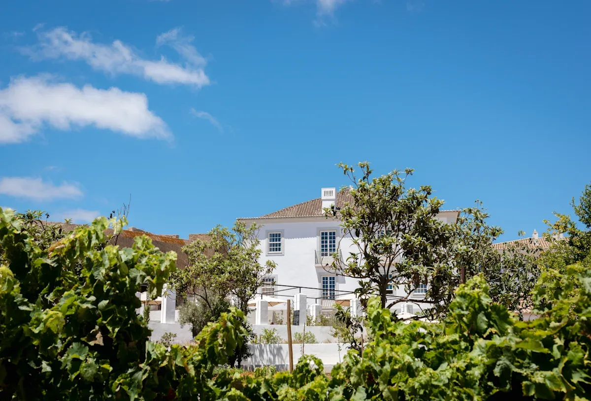 Espacio representativo del hotel: Un edificio blanco con tejado de tejas se alza tras vegetación frondosa bajo un cielo azul.