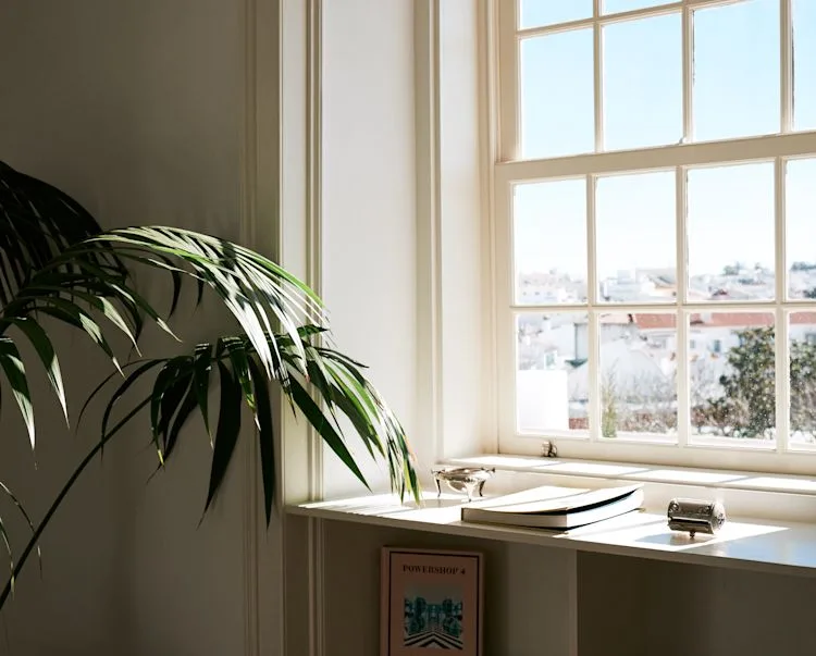 Espacio representativo del hotel: Una ventana luminosa con una planta en maceta junto a un alféizar soleado.