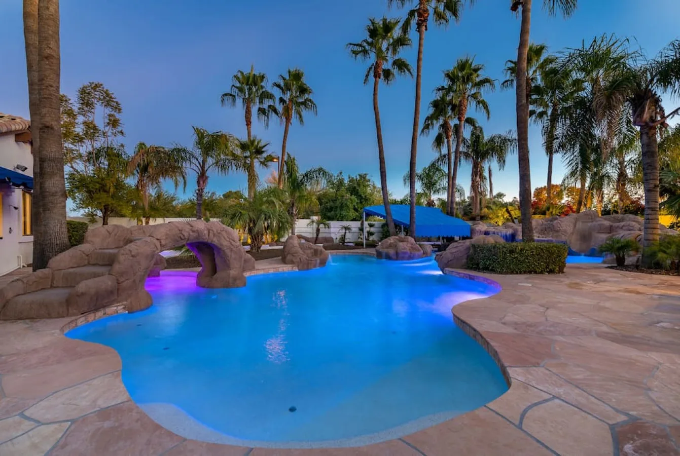 Una piscina exterior de forma irregular está rodeada de palmeras y pavimento de piedra.