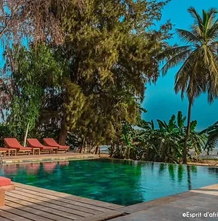 Representative hotel space: A tropical pool is surrounded by trees and wooden decking.