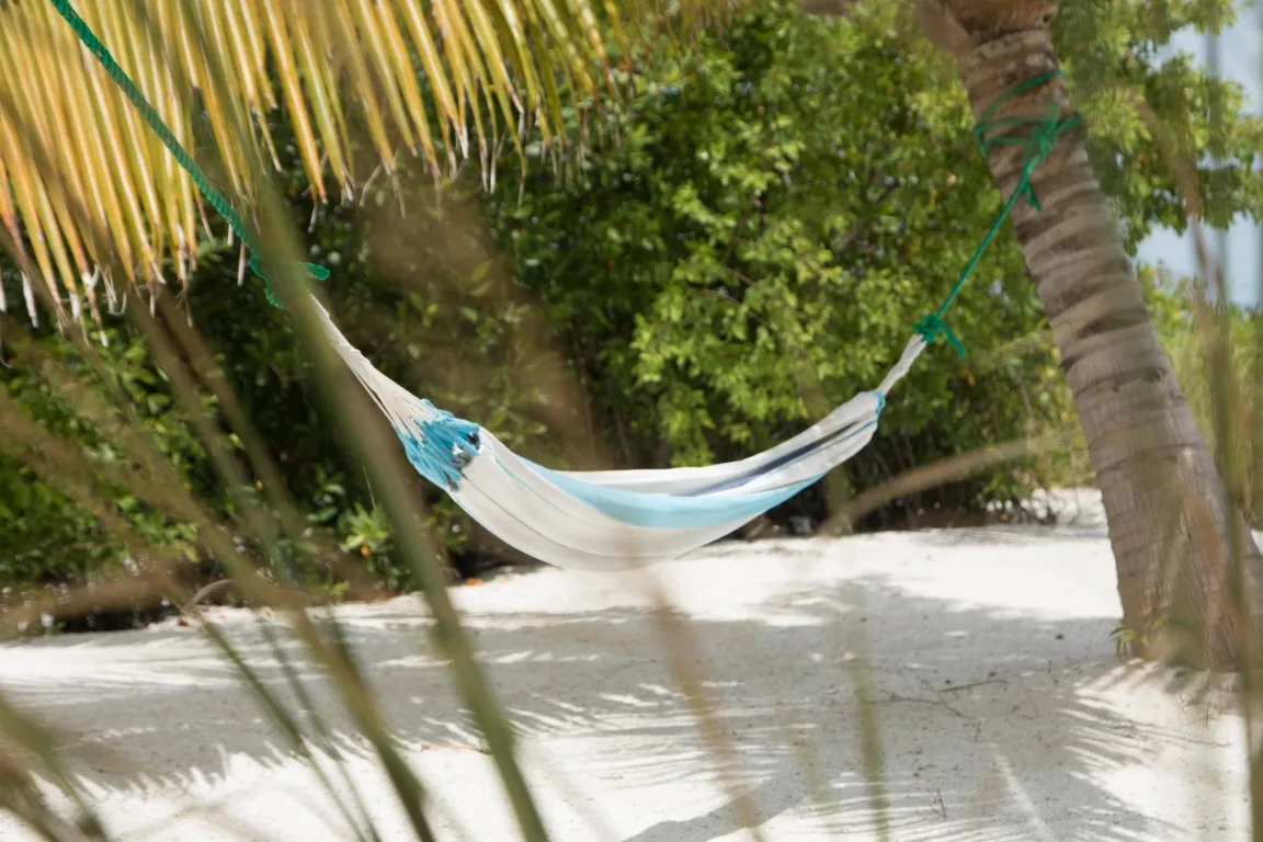 A hammock hangs between palm trees over a sandy outdoor area.