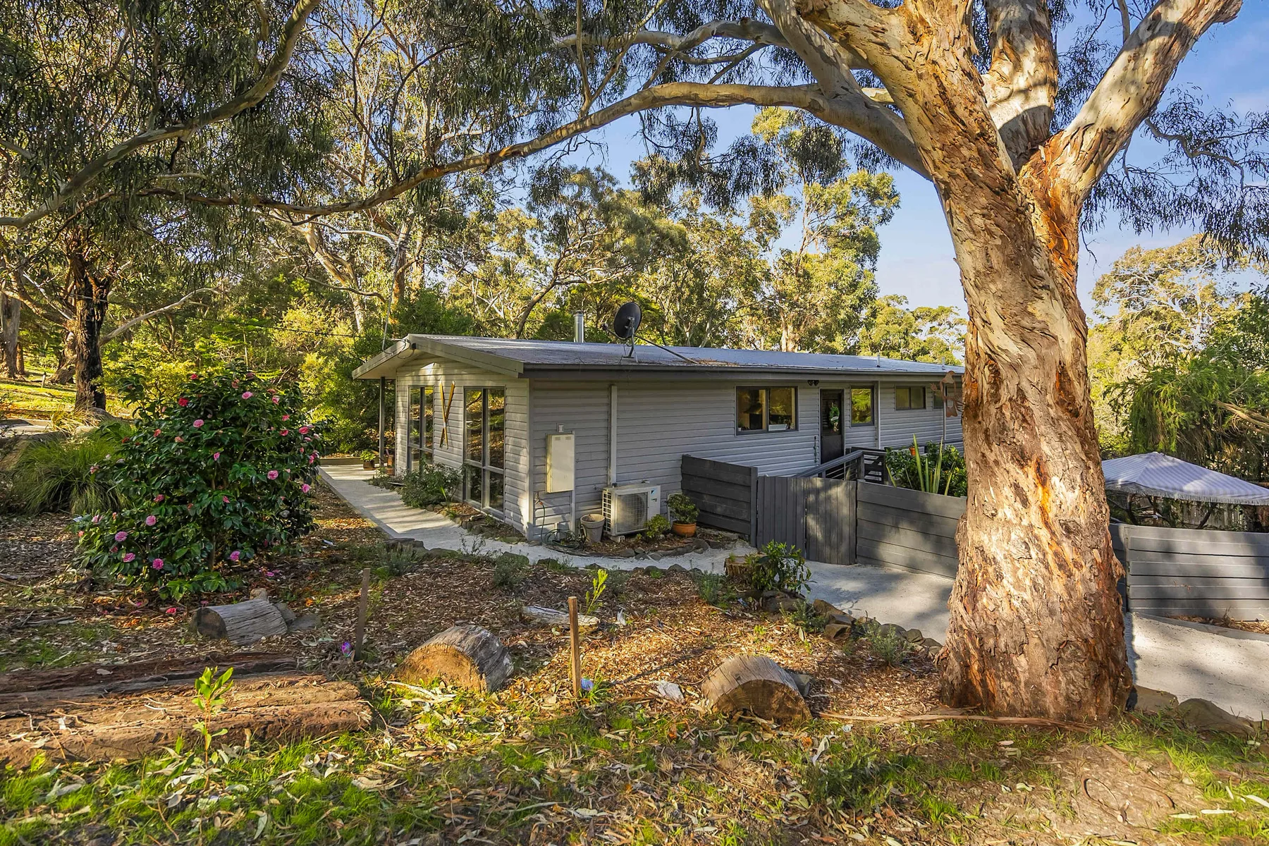A single-story house sits among trees and landscaped garden beds.