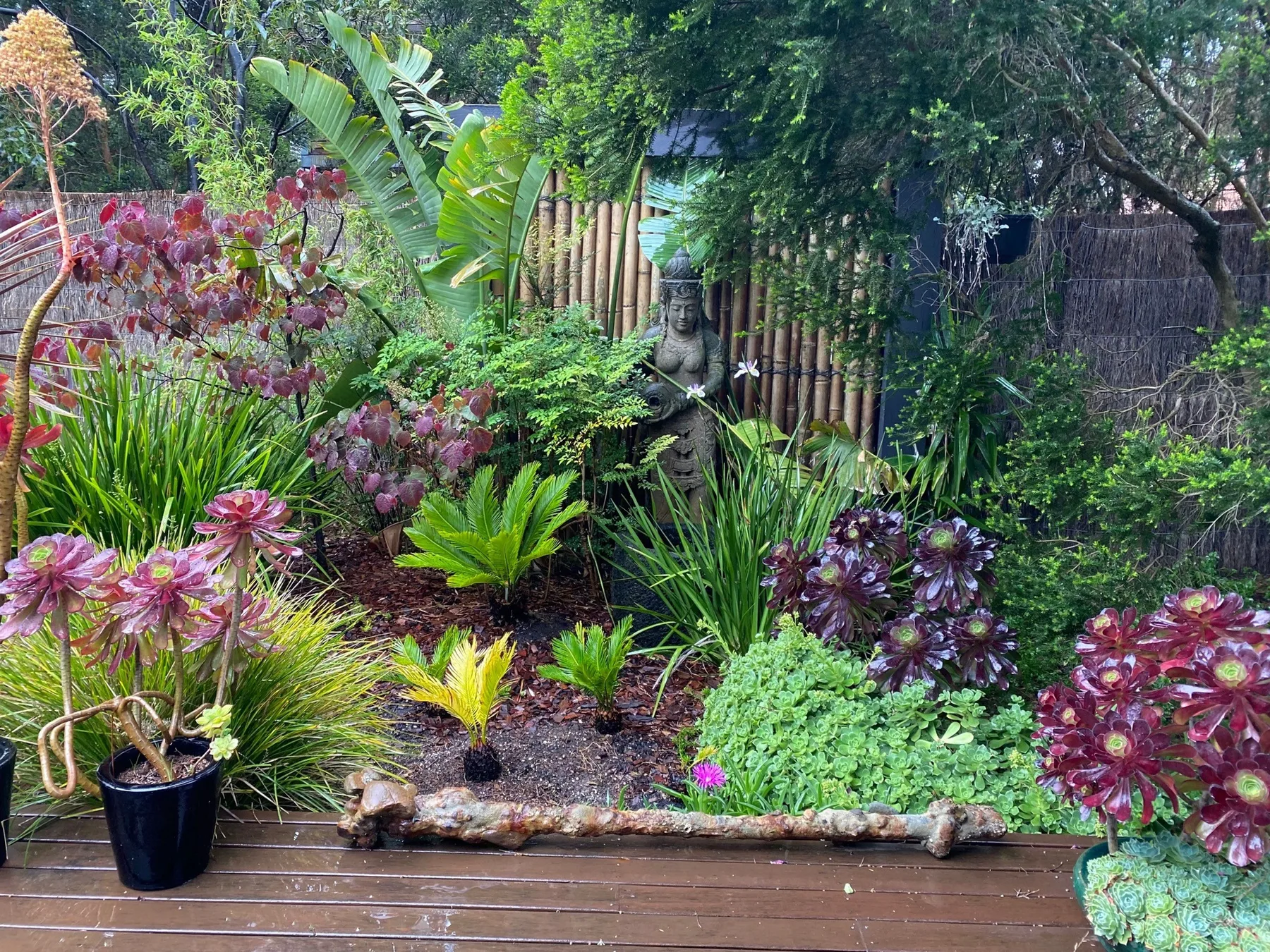 Un jardín frondoso con plantas florecidas y follaje tropical.