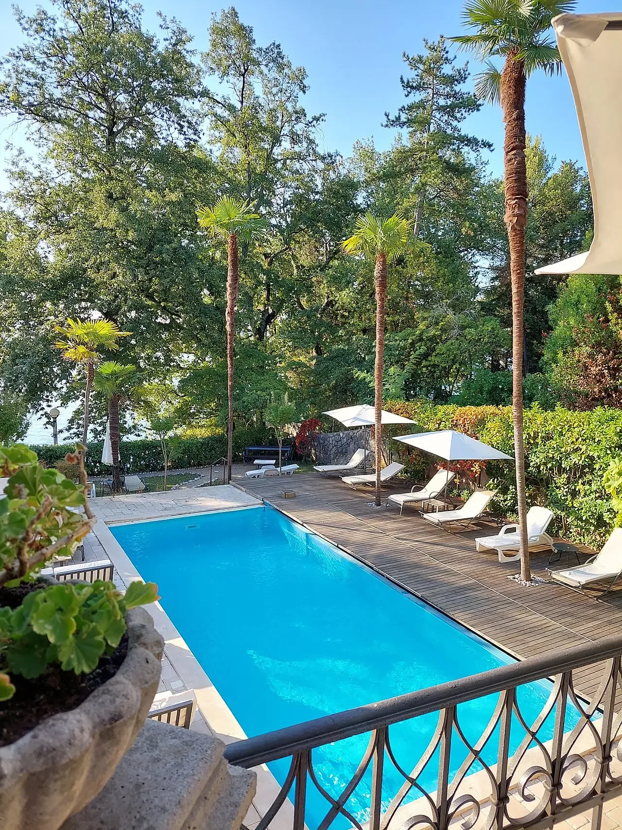 Representative hotel space: An outdoor swimming pool is surrounded by trees, loungers, and parasols.