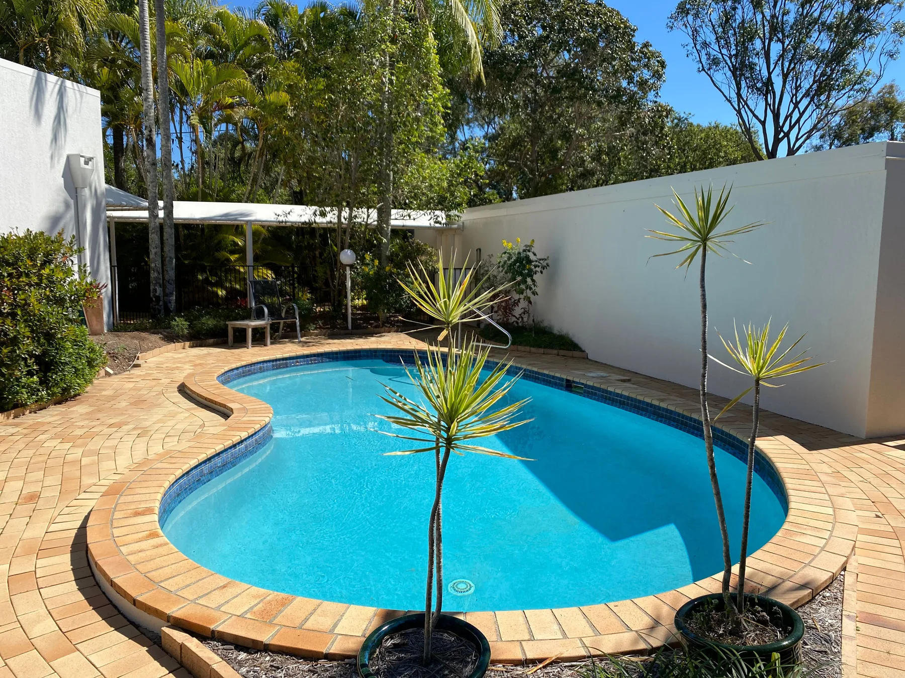 Zona común: Piscina al aire libre rodeada de un patio pavimentado y vegetación.