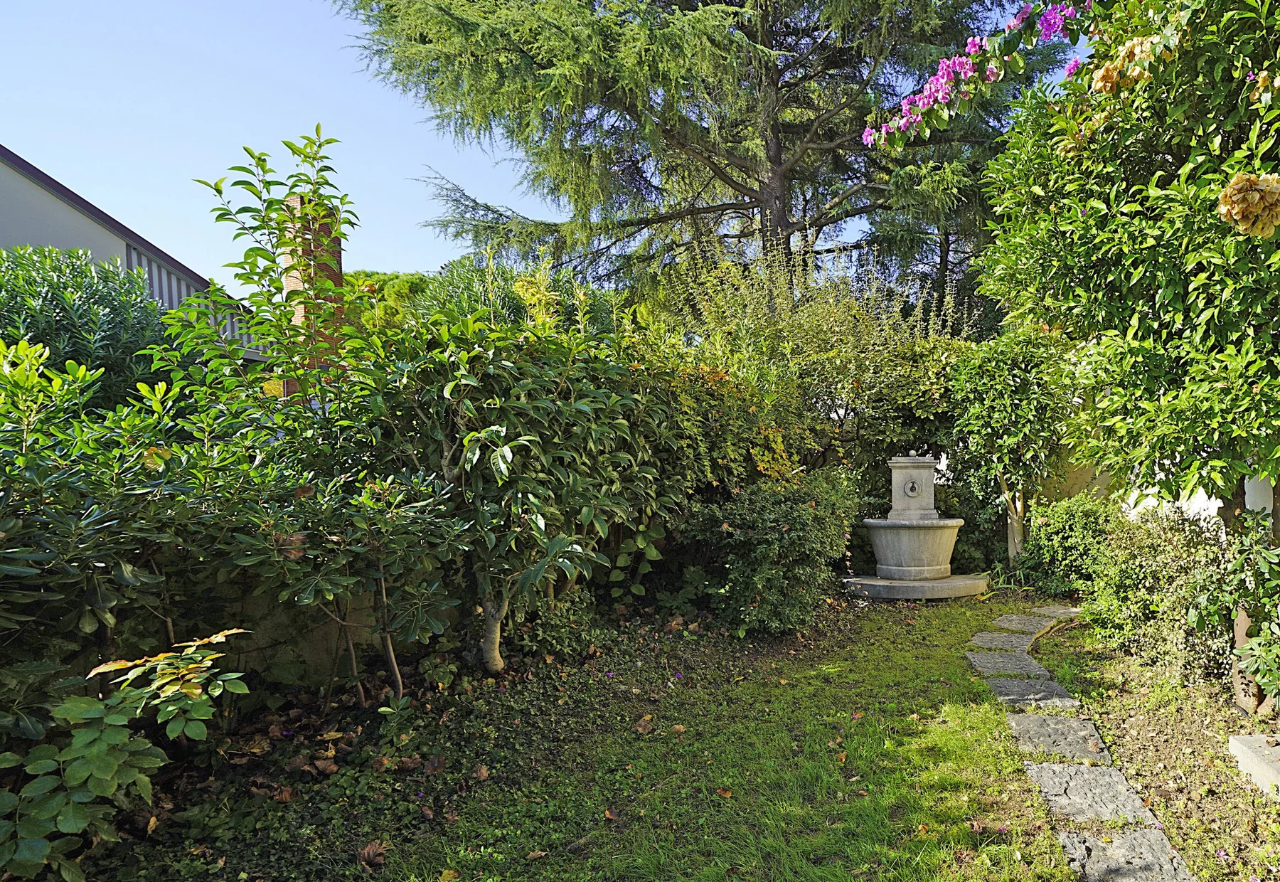 Zona común: Un sendero de jardín atraviesa la vegetación y conduce a una pequeña fuente de piedra.