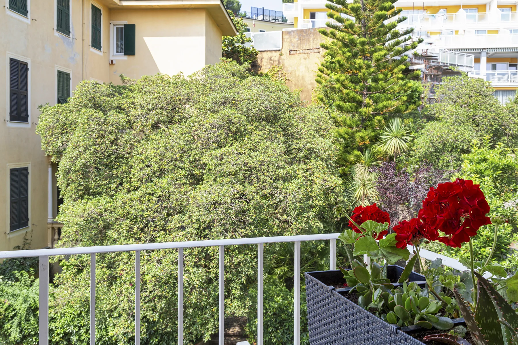 Un balcón da a jardines frondosos, con flores rojas junto a la barandilla.