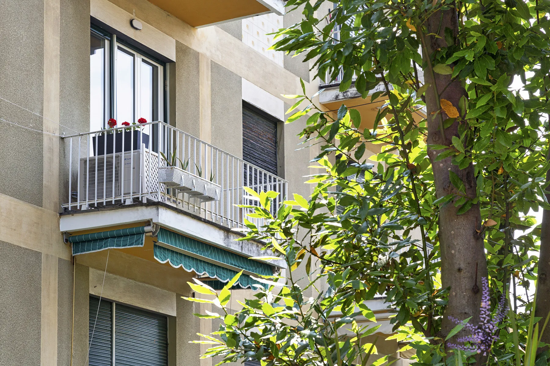 Zona común: Fachada de un edificio de apartamentos con un balcón entre árboles frondosos.