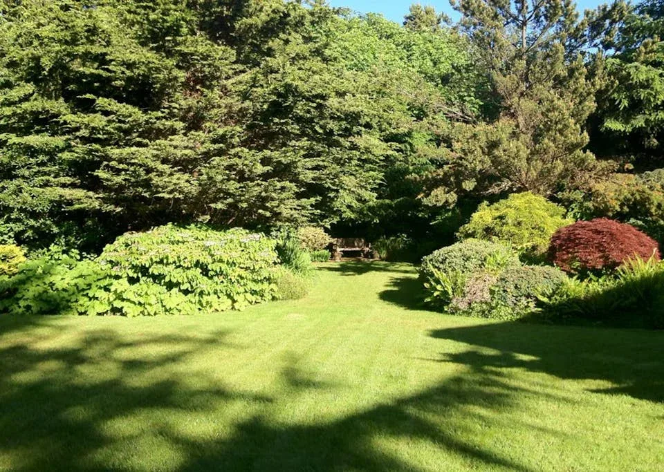 A sunny garden lawn is surrounded by leafy trees and flowering shrubs.