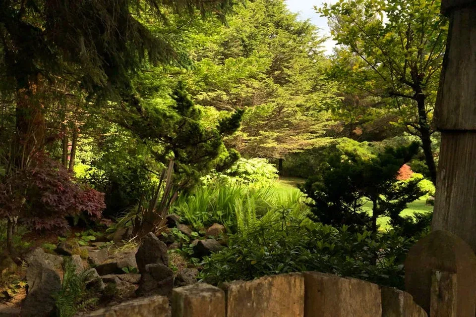 A lush garden with leafy trees, shrubs, and a stone border.