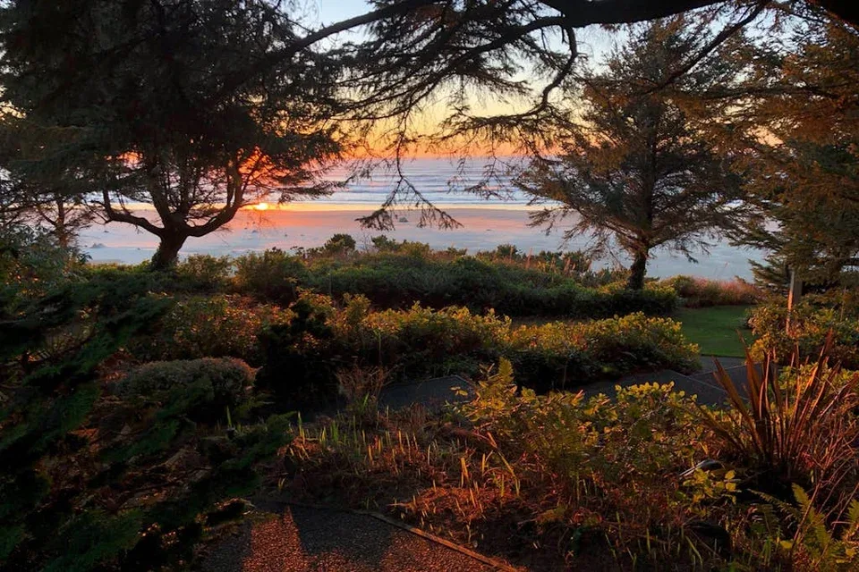 A coastal garden frames the ocean at sunset.