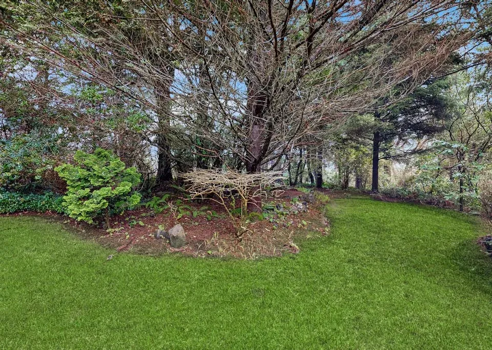 A green lawn borders a garden bed with shrubs and mature trees.