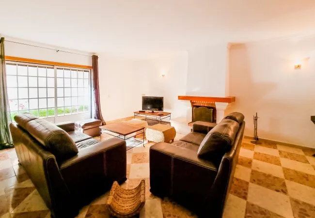 Una sala de estar con asientos oscuros, un televisor y una chimenea.