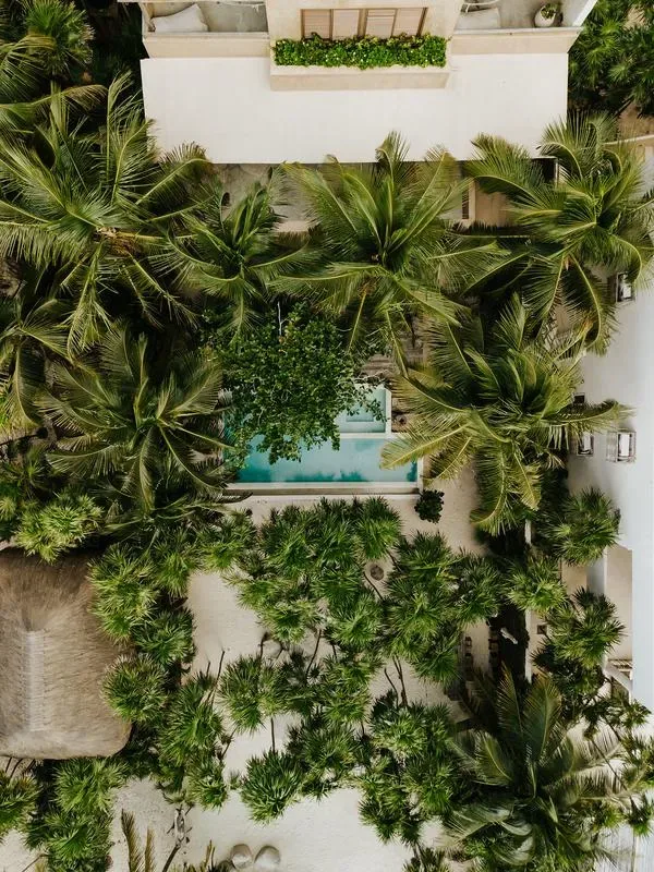 Modern Eco-Villa in Tulum