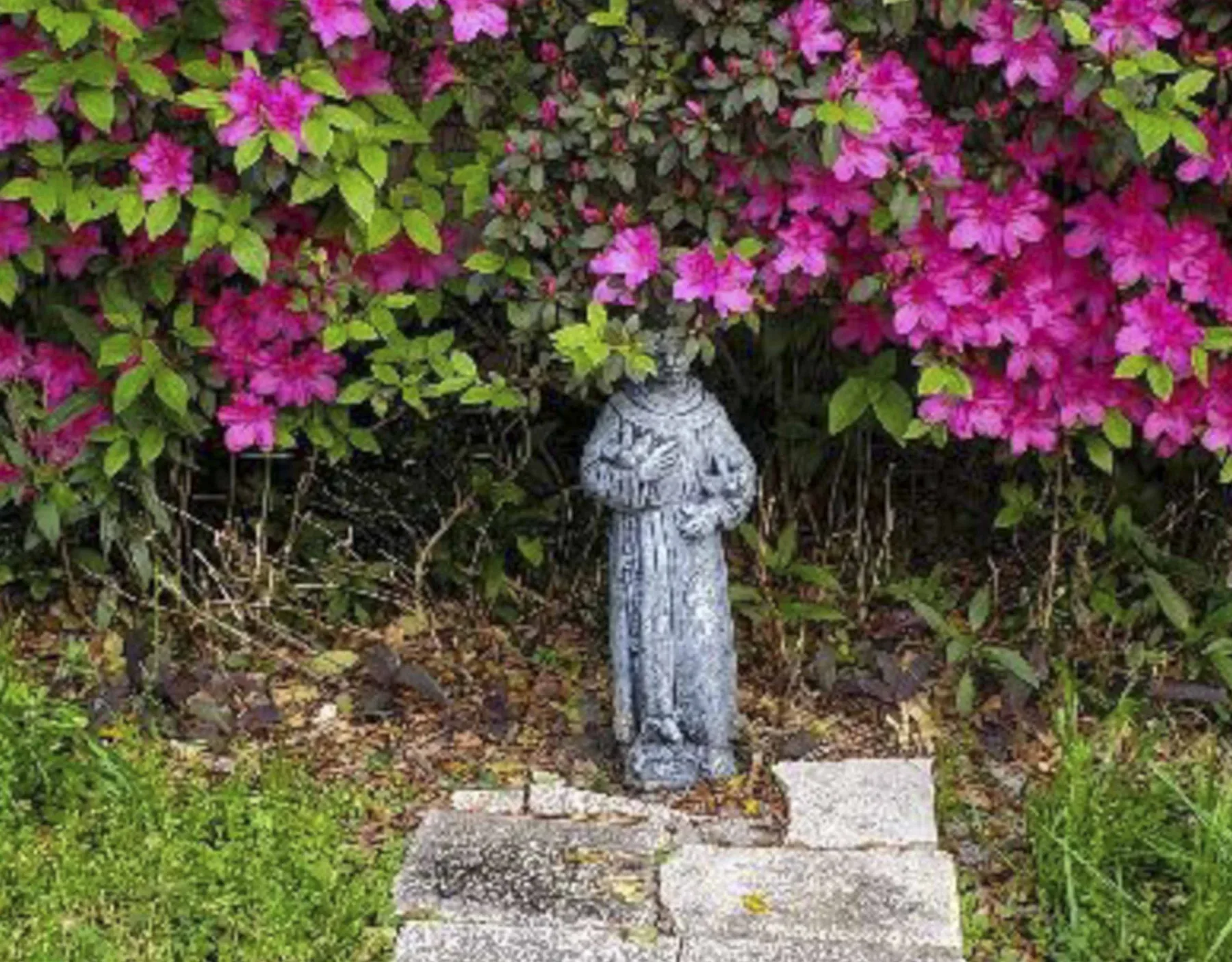 A garden path leads to a small statue beneath flowering shrubs.