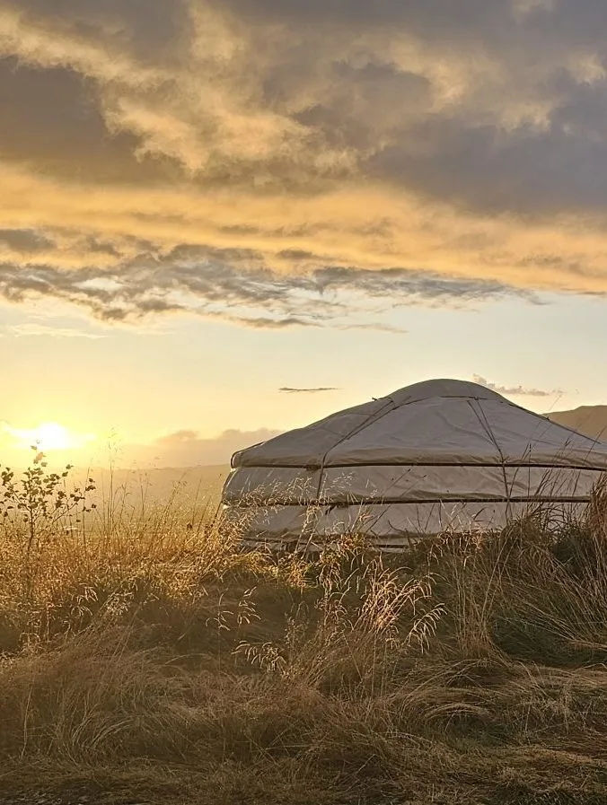 Espacio representativo del hotel: Una tienda redonda se encuentra entre hierbas altas bajo un cielo nublado al atardecer.