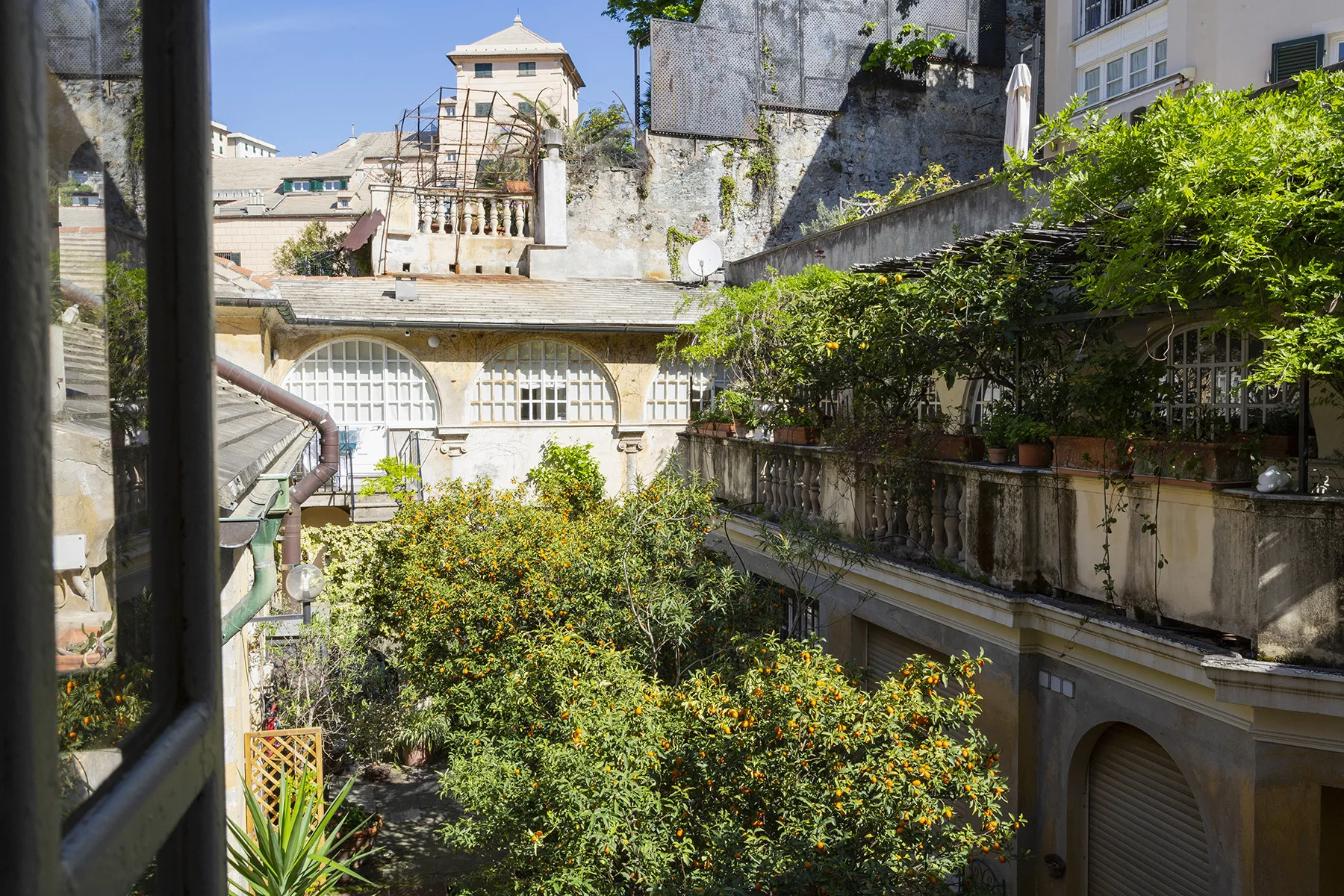 A leafy courtyard garden sits among surrounding buildings.