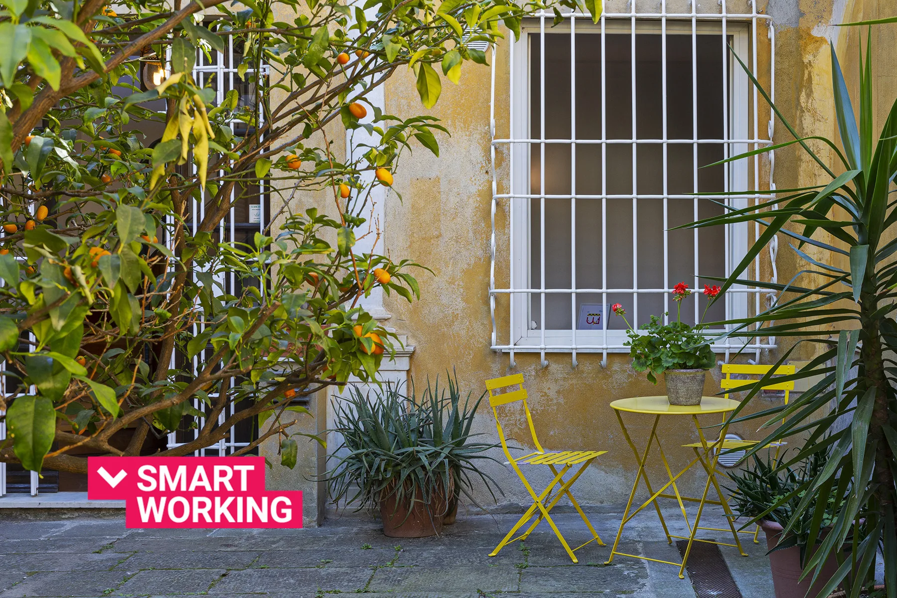 Shared amenity: A small outdoor patio with yellow seating and potted plants beside barred windows.